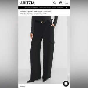 Aritzia Wilfred Bridger Cargo Pant